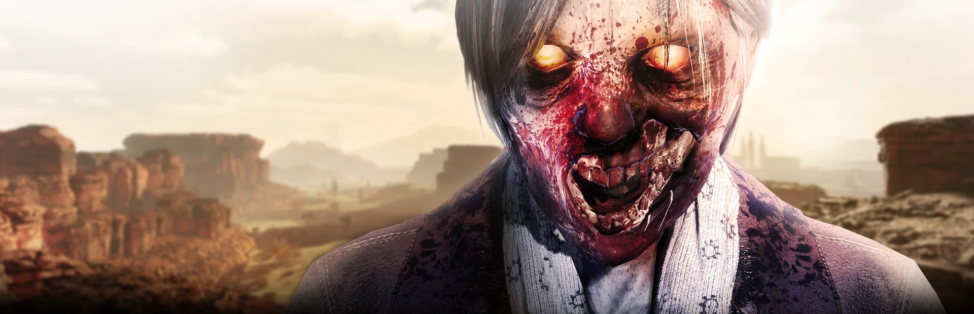 Banner of Arizona Sunshine®