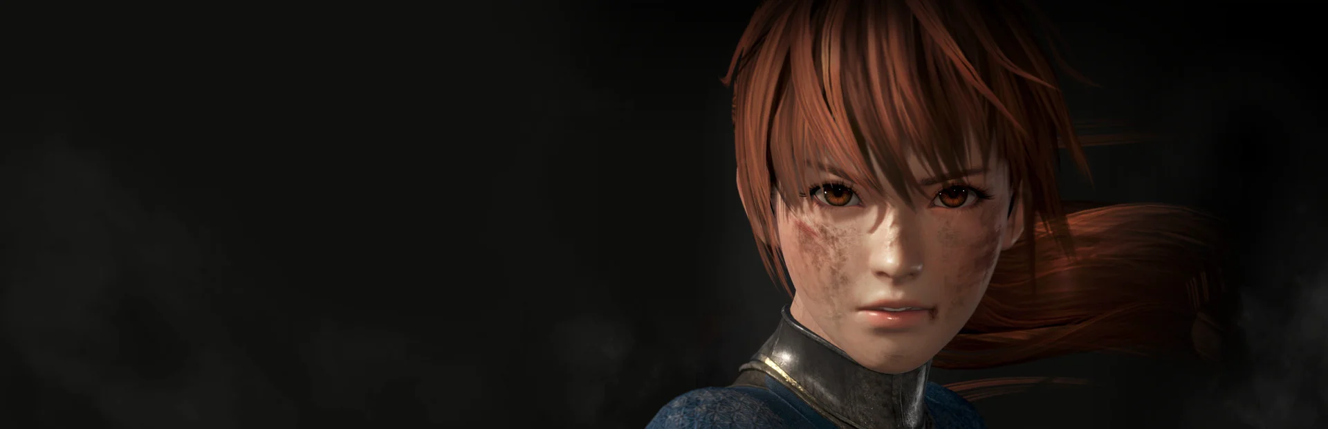 Banner of DEAD OR ALIVE 6