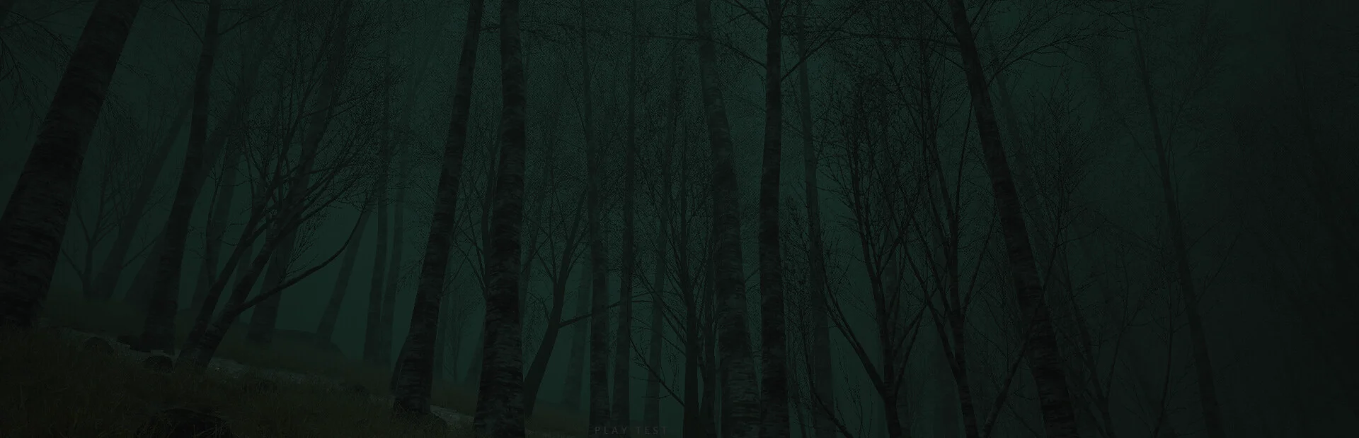 Banner of Descending The Woods