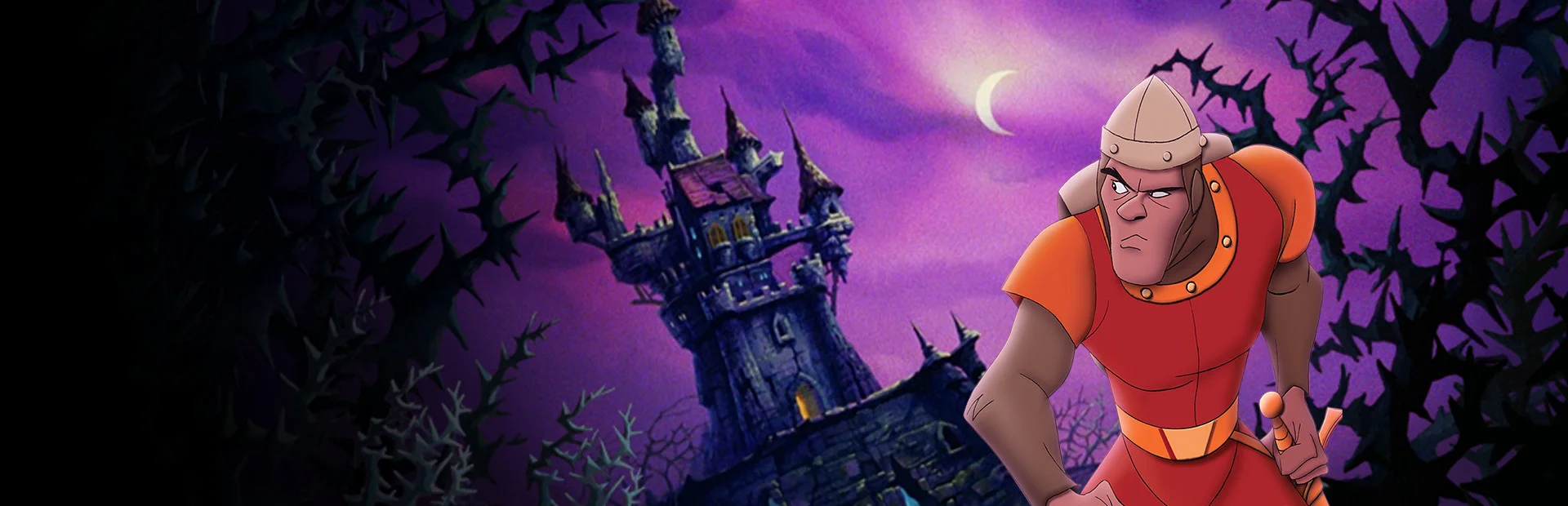 Banner of Dragon's Lair