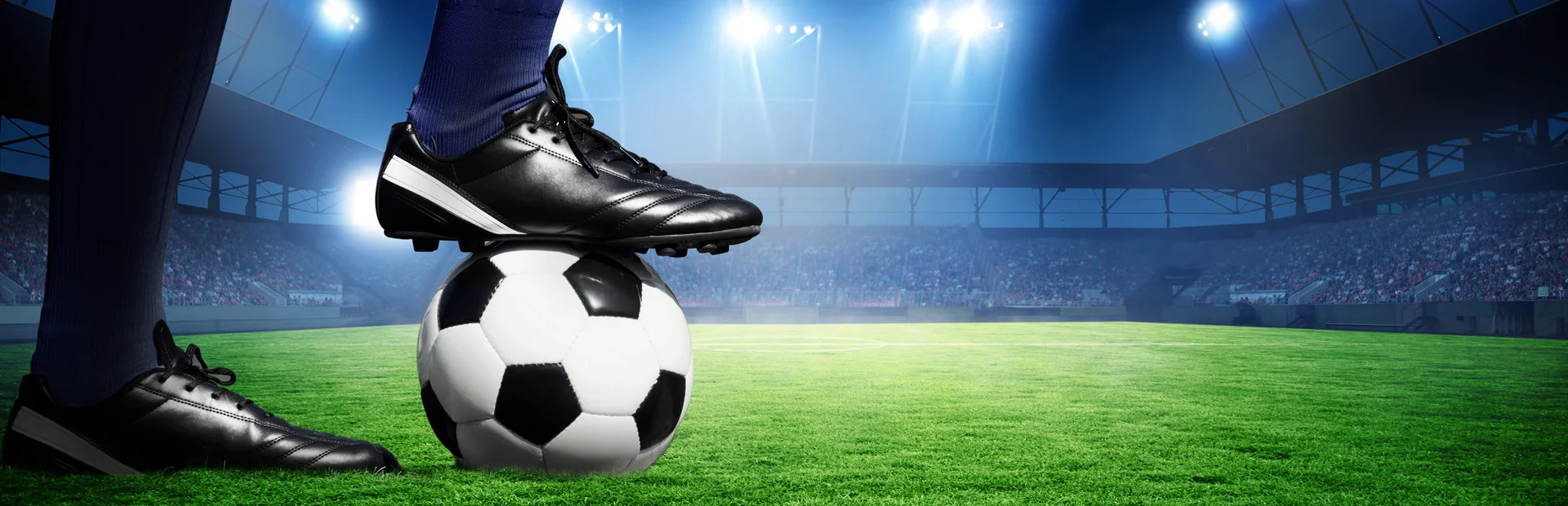 Banner of Goalgetter