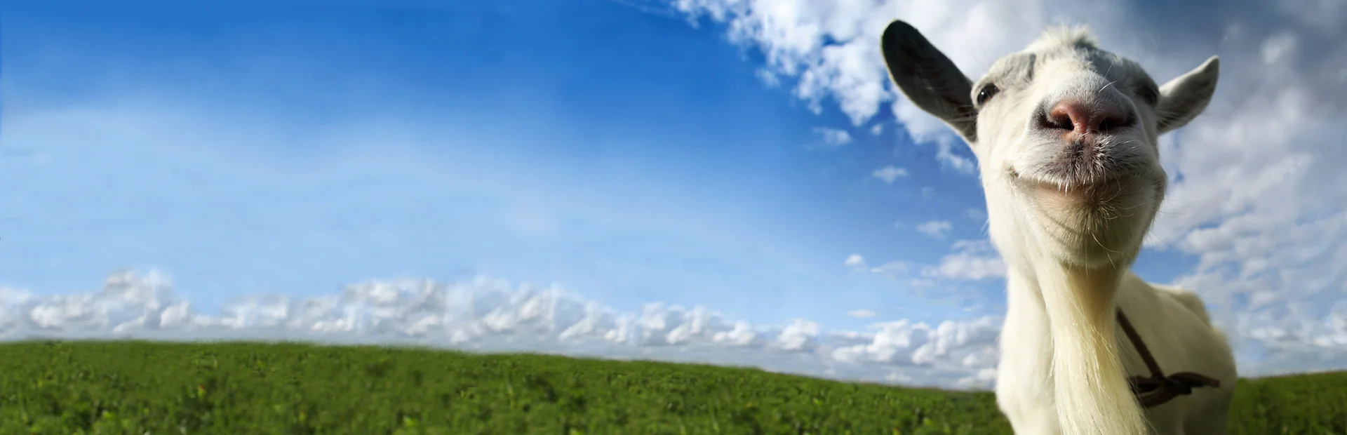 Banner of Goat Simulator