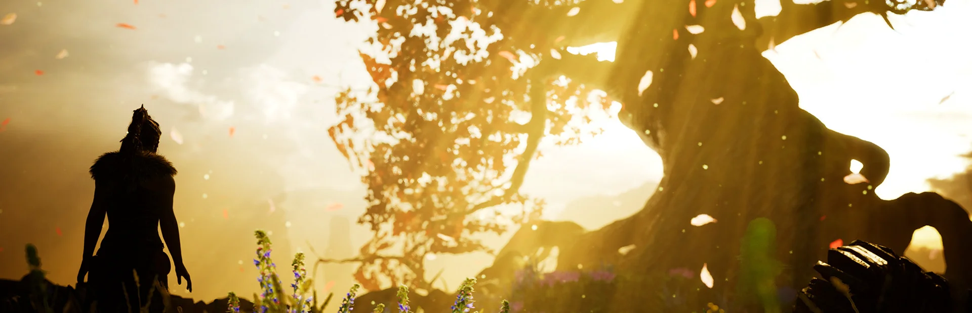 Banner of Hellblade: Senua's Sacrifice