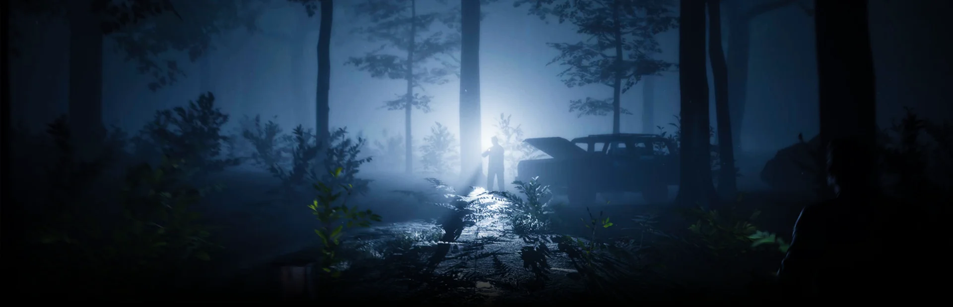 Banner of In Silence