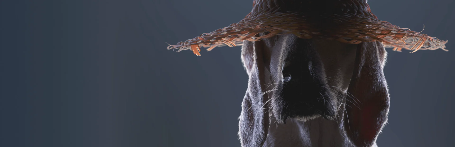 Banner of Kentucky Route Zero: PC Edition