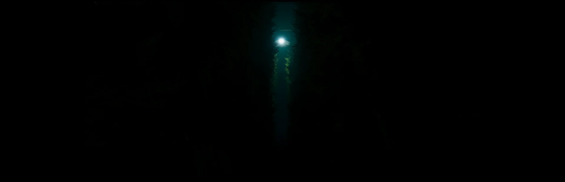 Banner of Labyrinthine