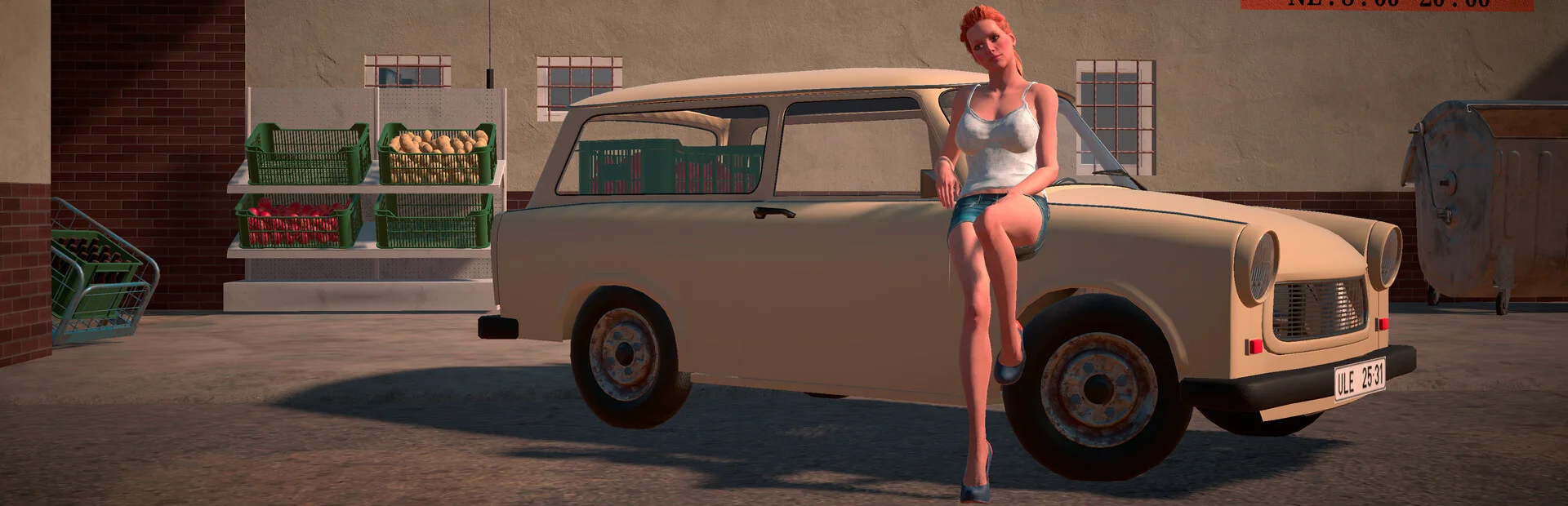 Banner of Last Holiday