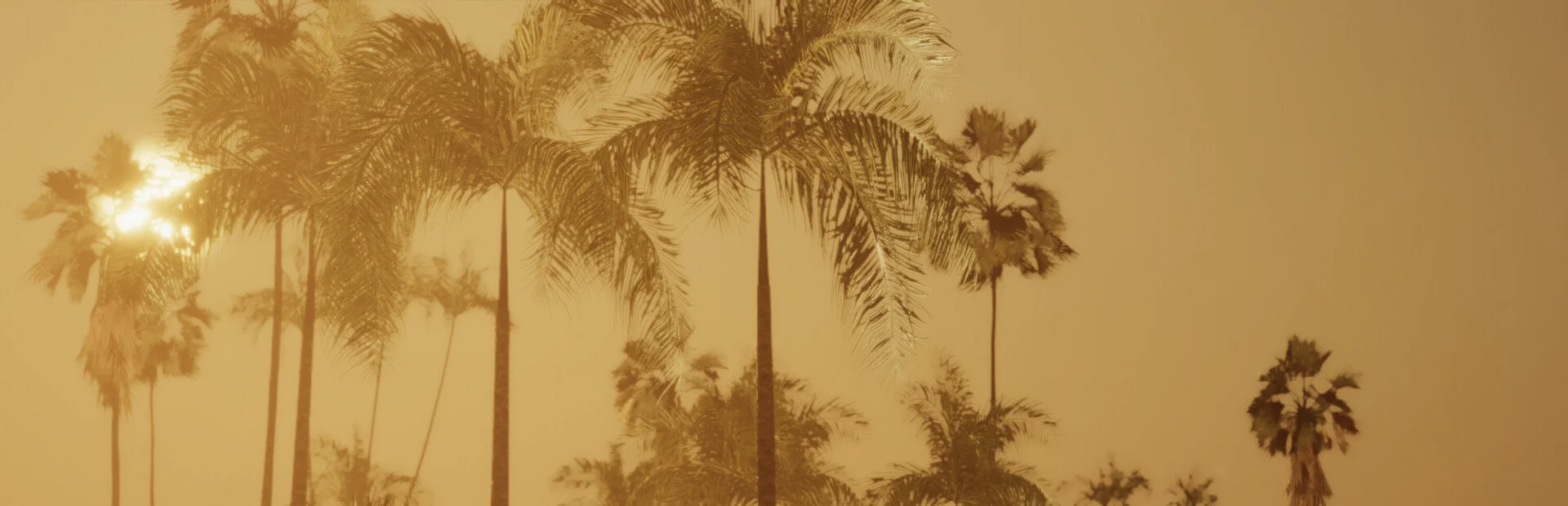 Banner of Miami Hotel Simulator