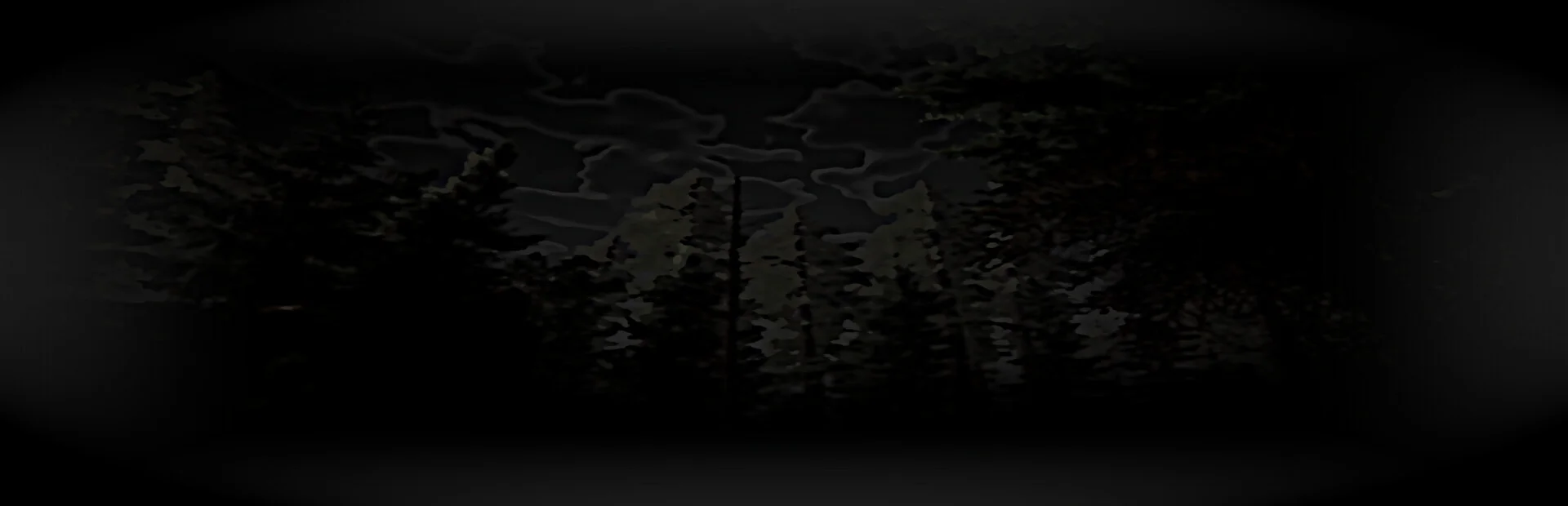 Banner of Nobody Sleeps Tonight