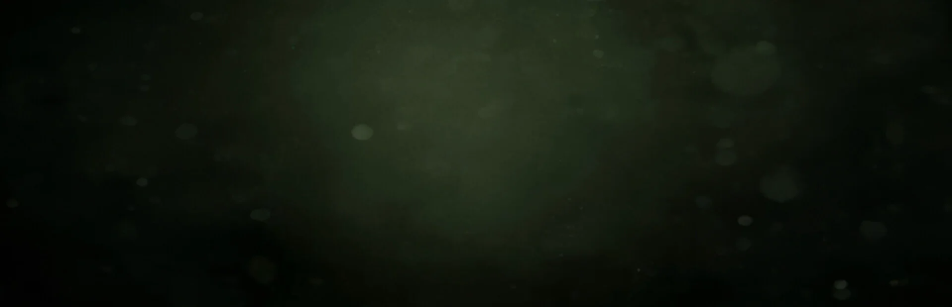 Banner of Paranormal VHS