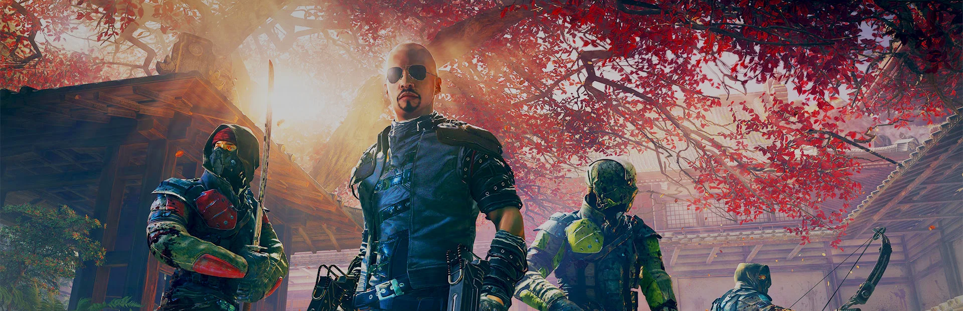 Banner of Shadow Warrior 2