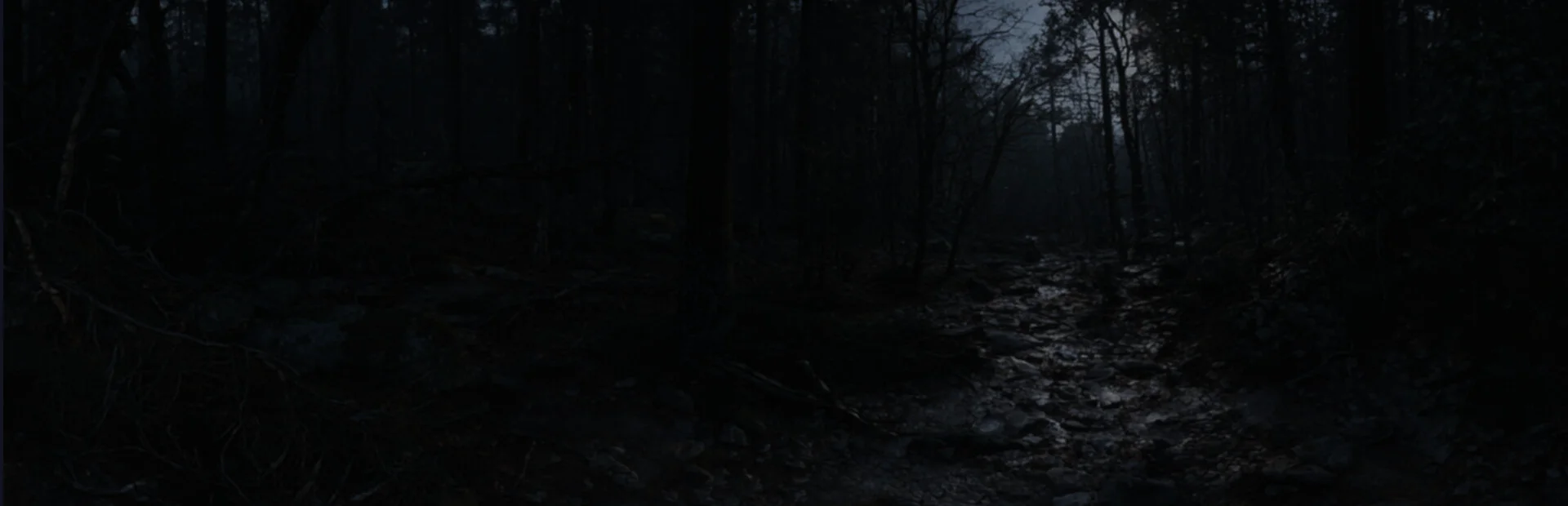 Sign of Silence: 99 Nights