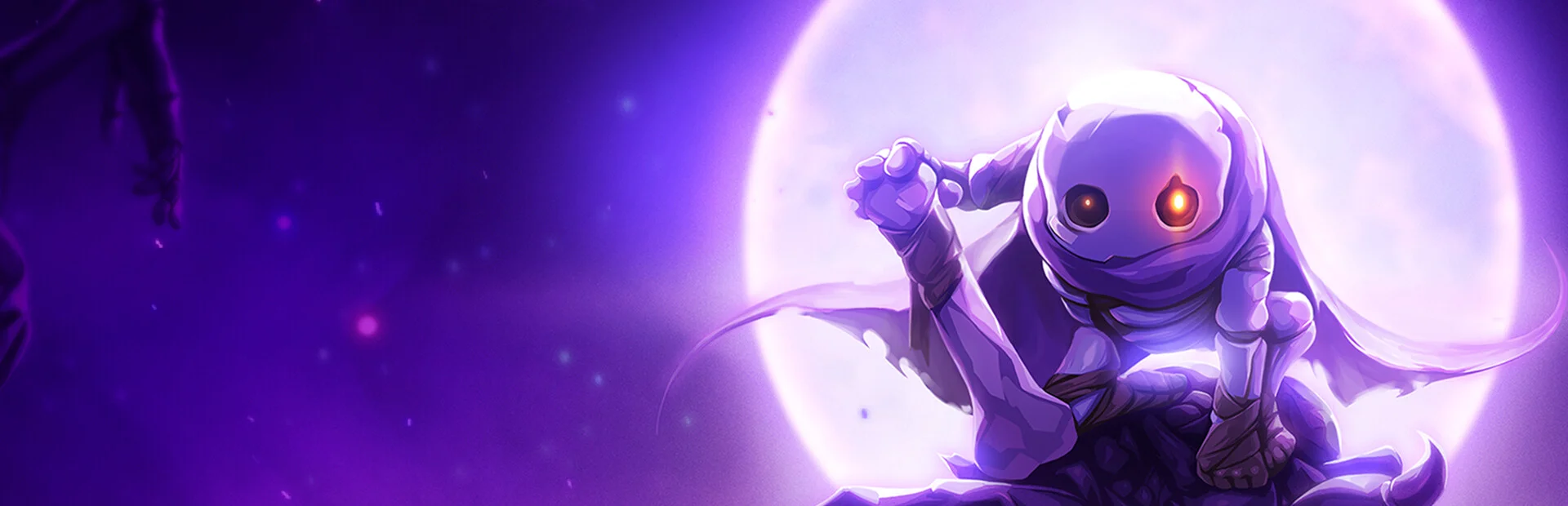 Banner of Skul: The Hero Slayer