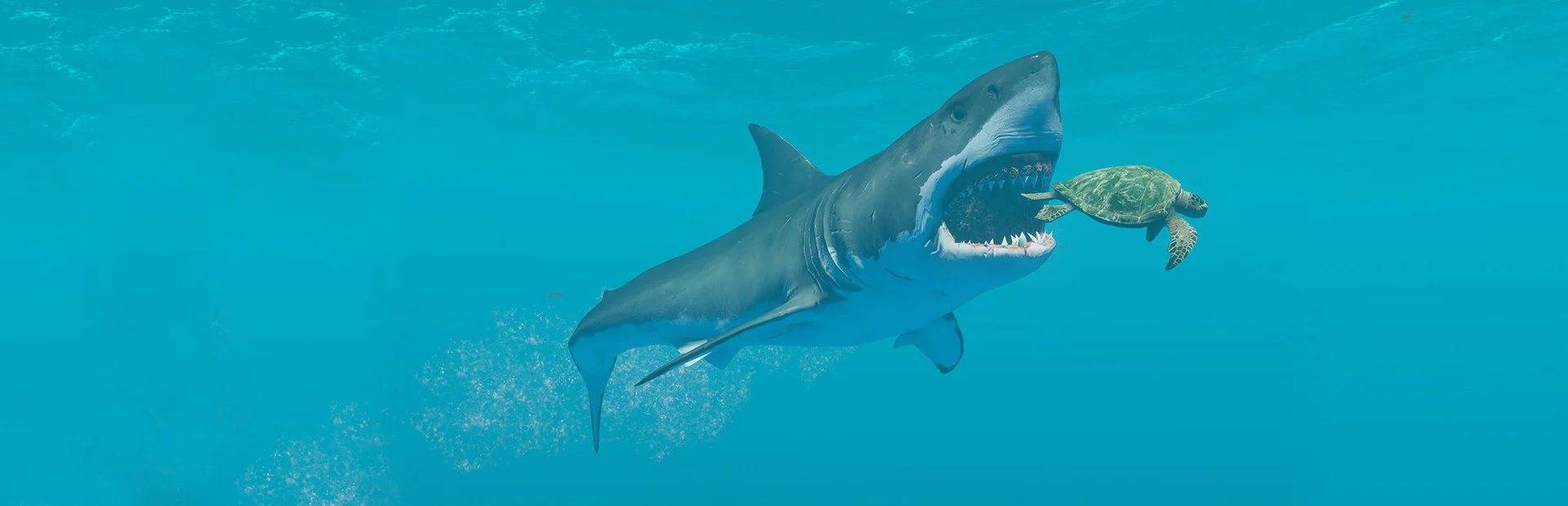 Banner of Stranded Deep