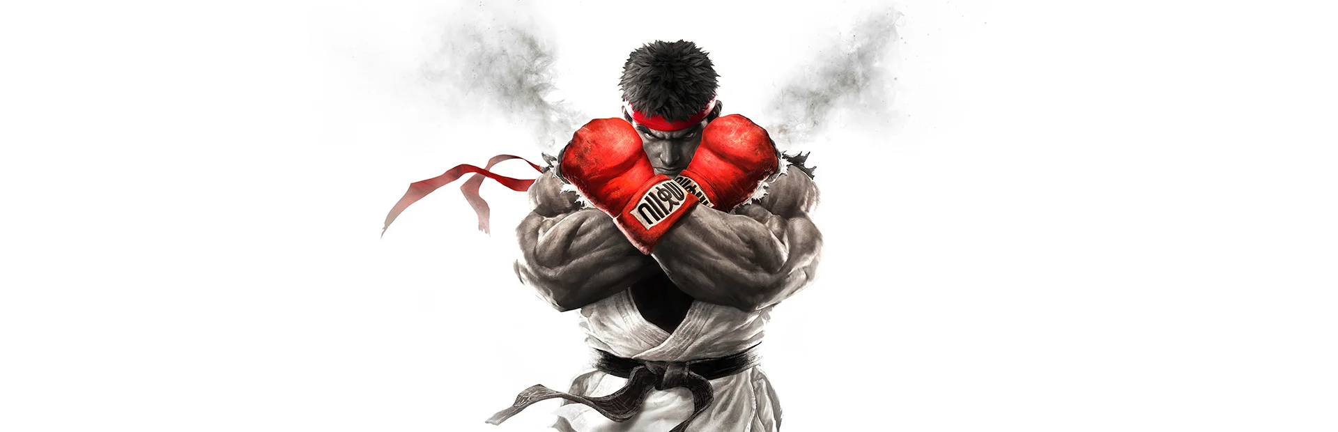 Banner of Street Fighter V