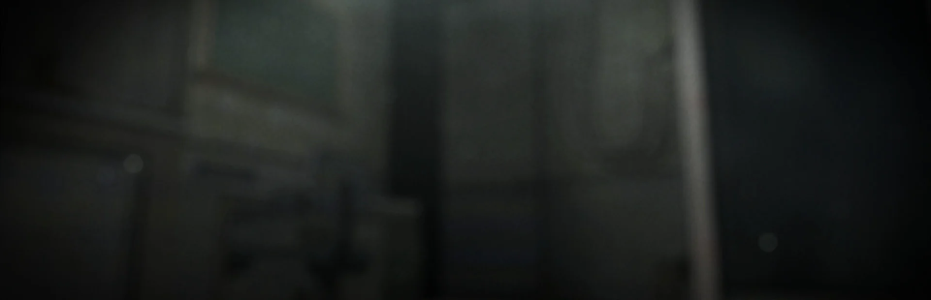 Banner of The Past Within