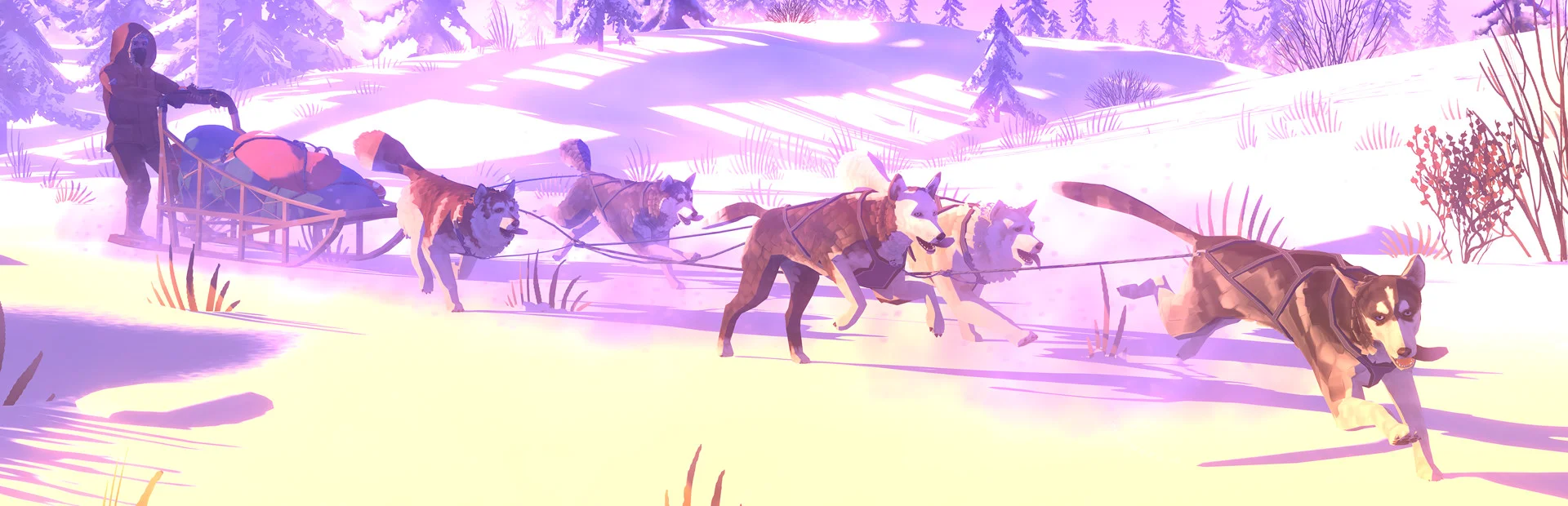 Banner of The Red Lantern