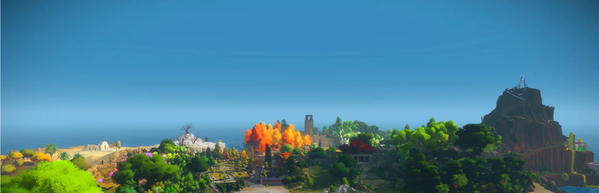 Banner of The Witness