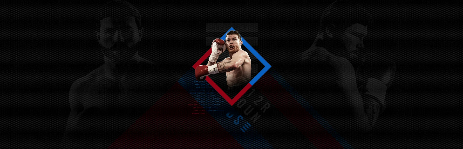 Banner of Undisputed