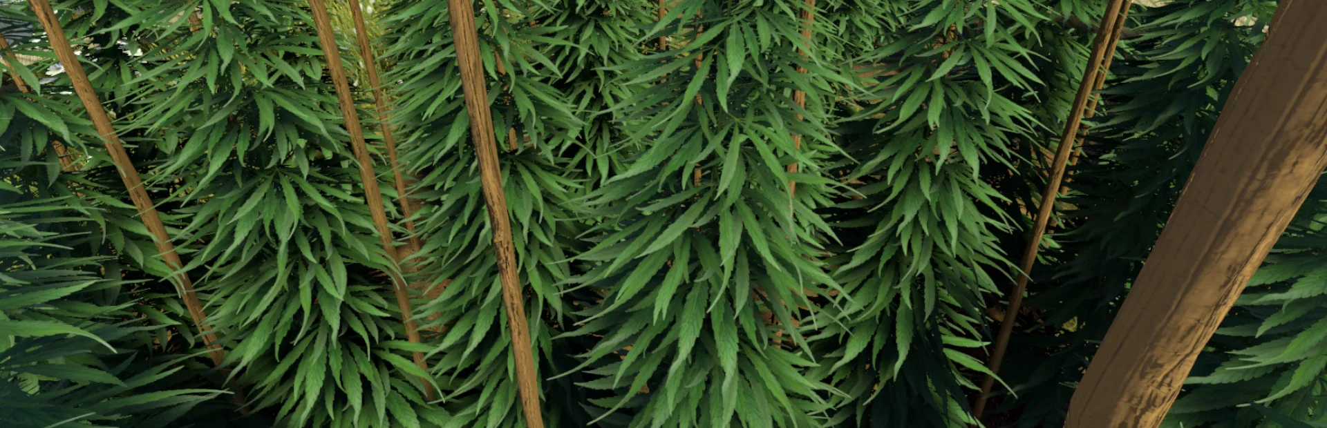 Banner of Weed Farmer Simulator