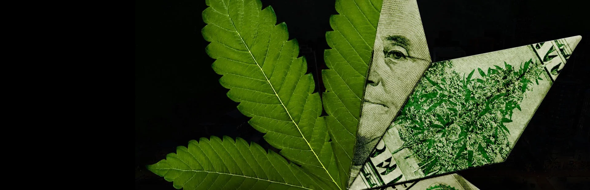 Banner of Weed Shop 3