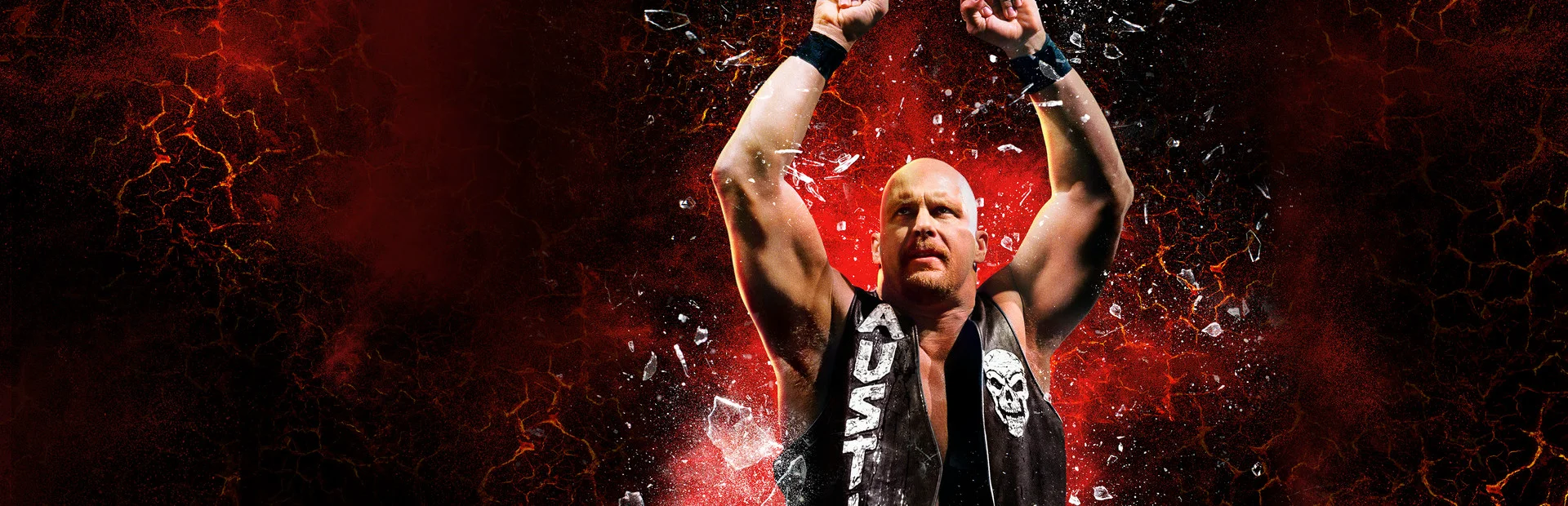 Banner of WWE 2K16