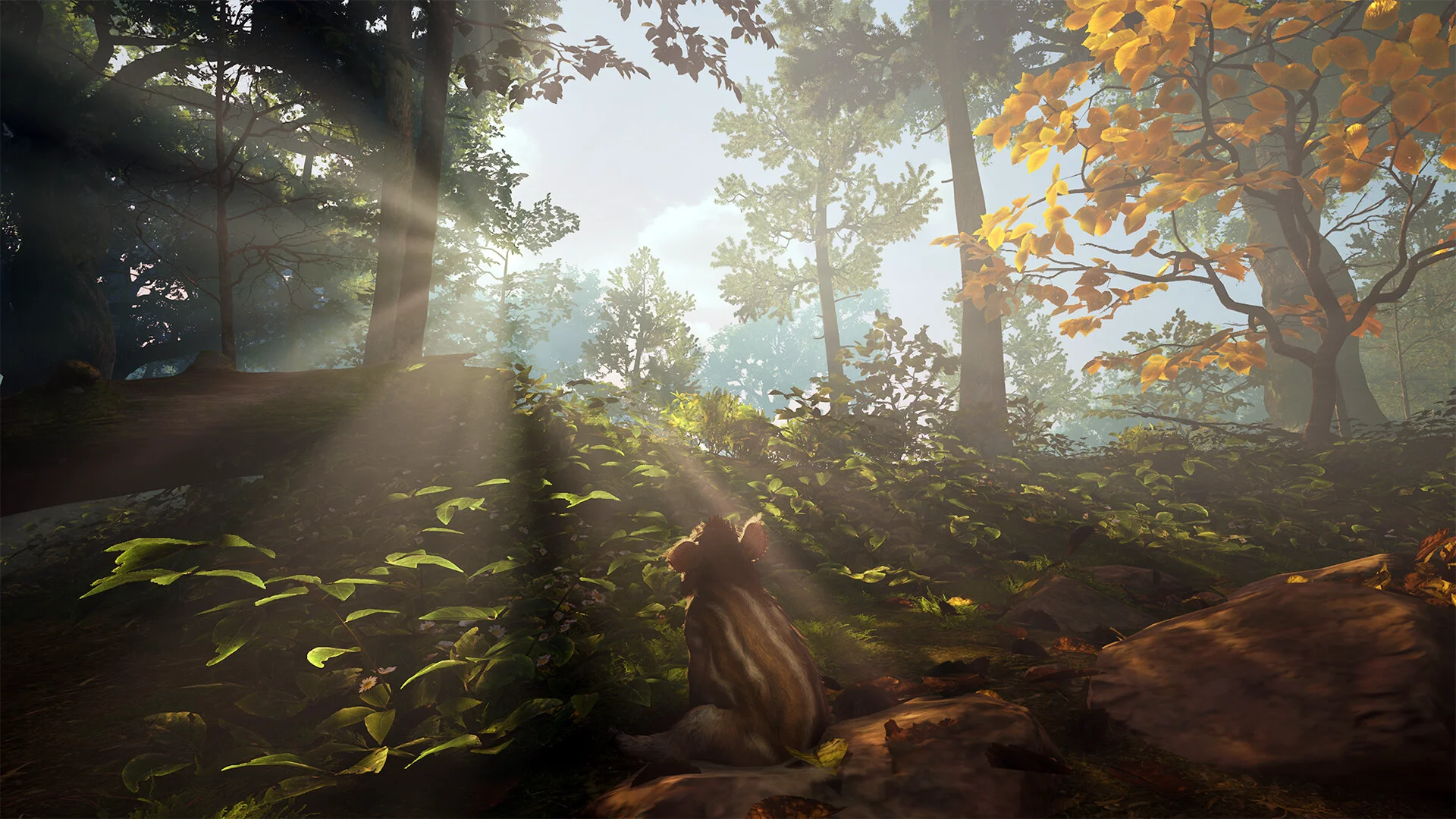 Adorable Adventures screenshot 10