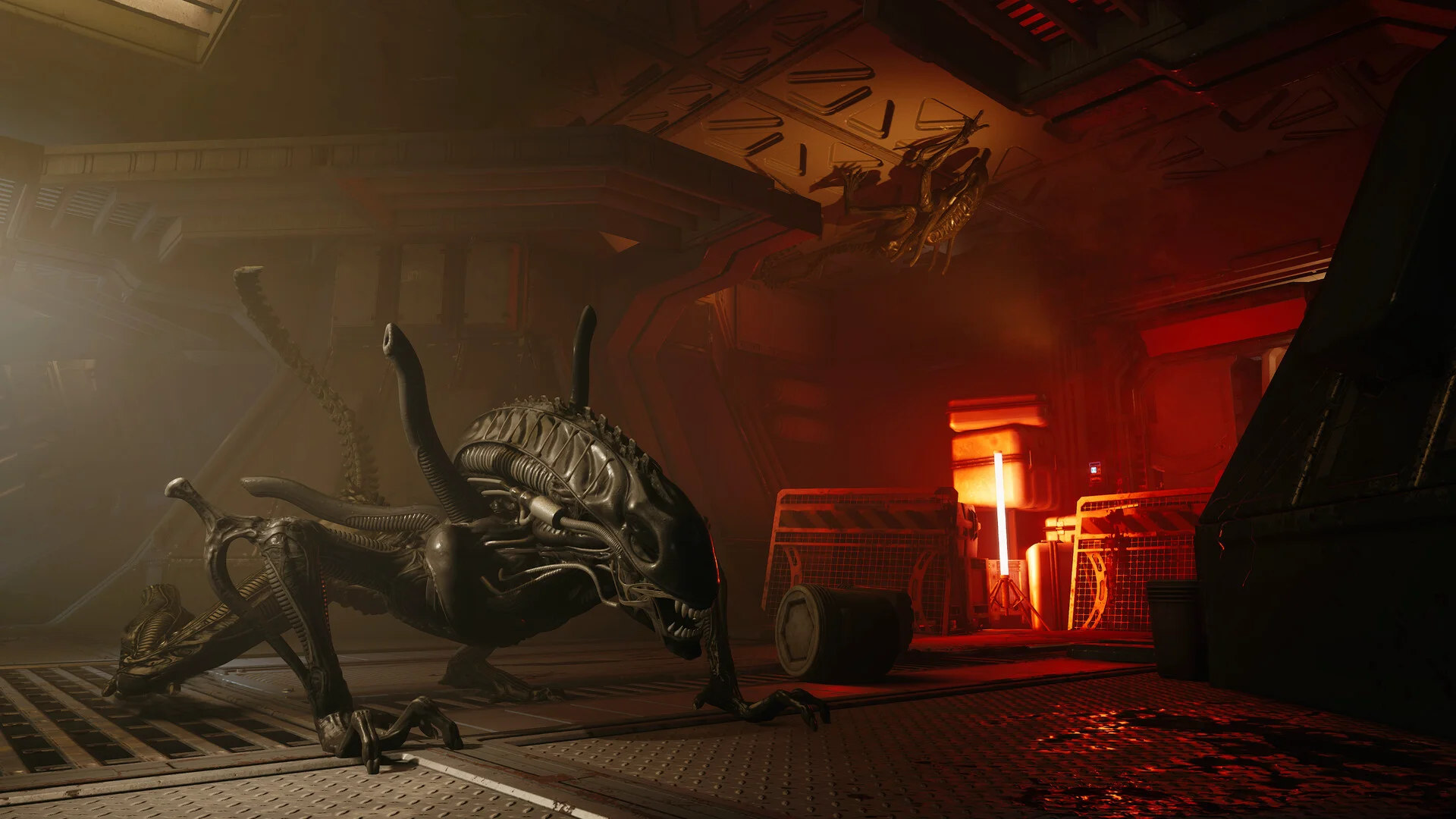 Alien: Rogue Incursion VR screenshot 7