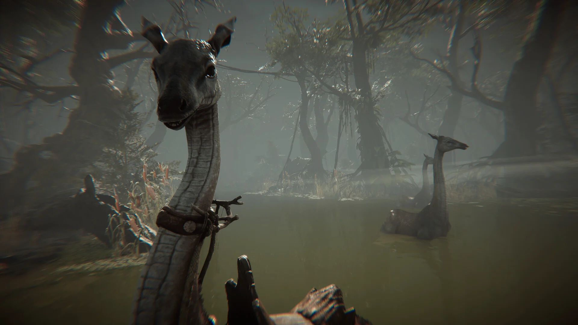 Amerzone - The Explorer's Legacy screenshot 5