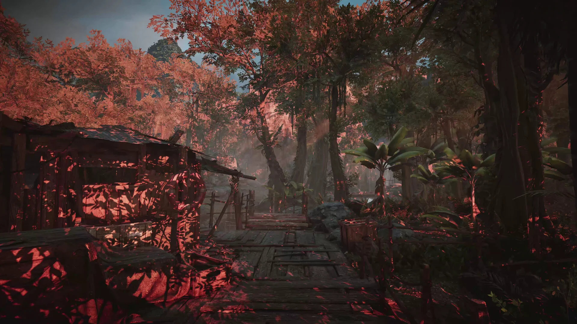 Amerzone - The Explorer's Legacy screenshot 8