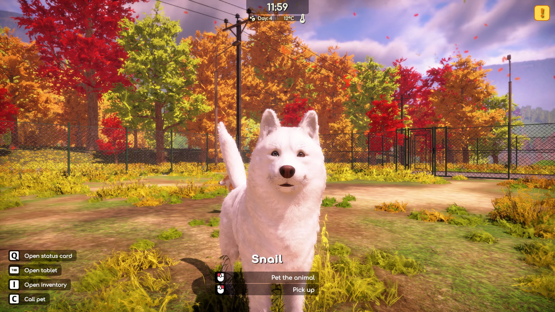 Animal Shelter 2 screenshot 12