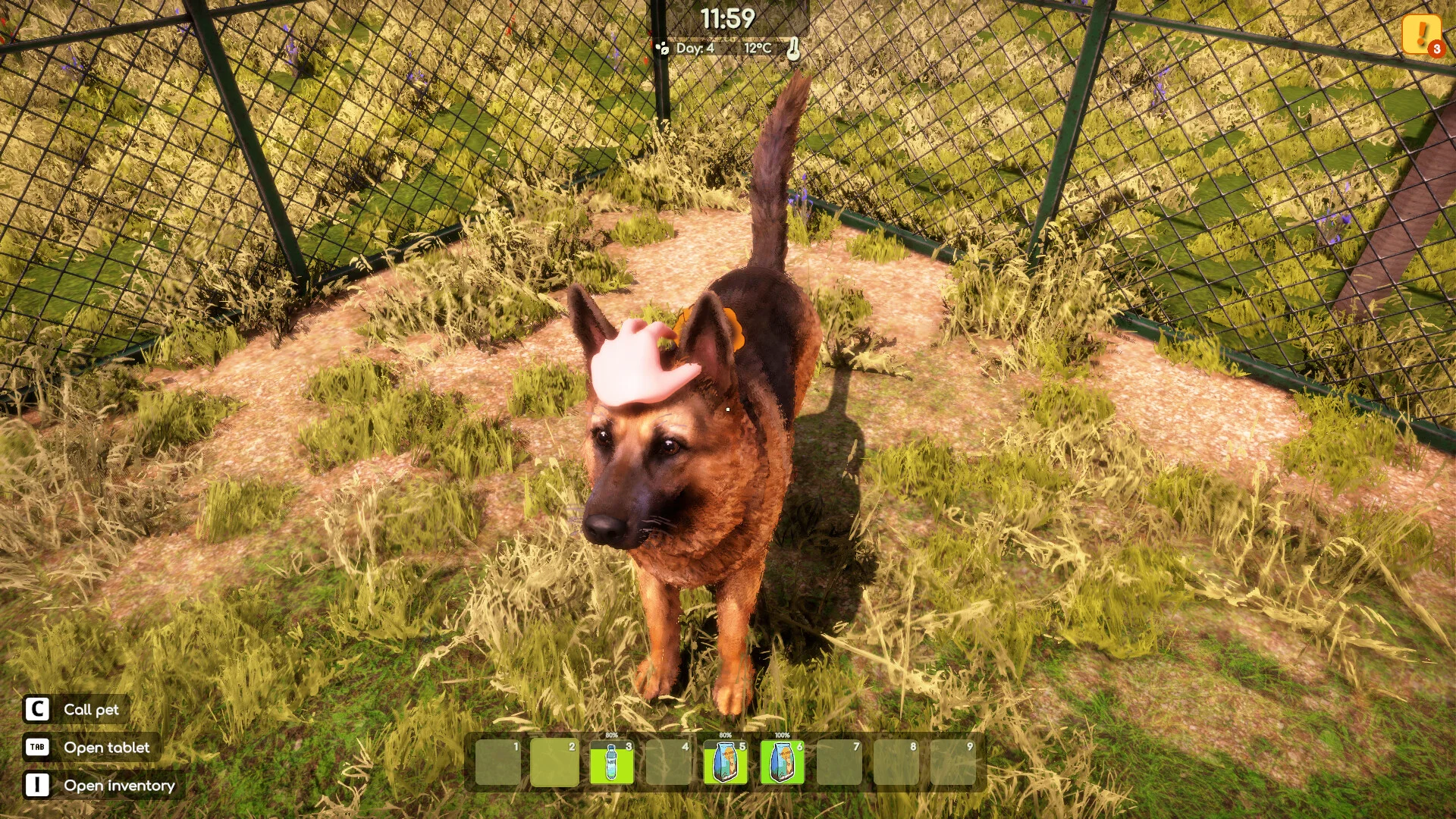 Animal Shelter 2 screenshot 15