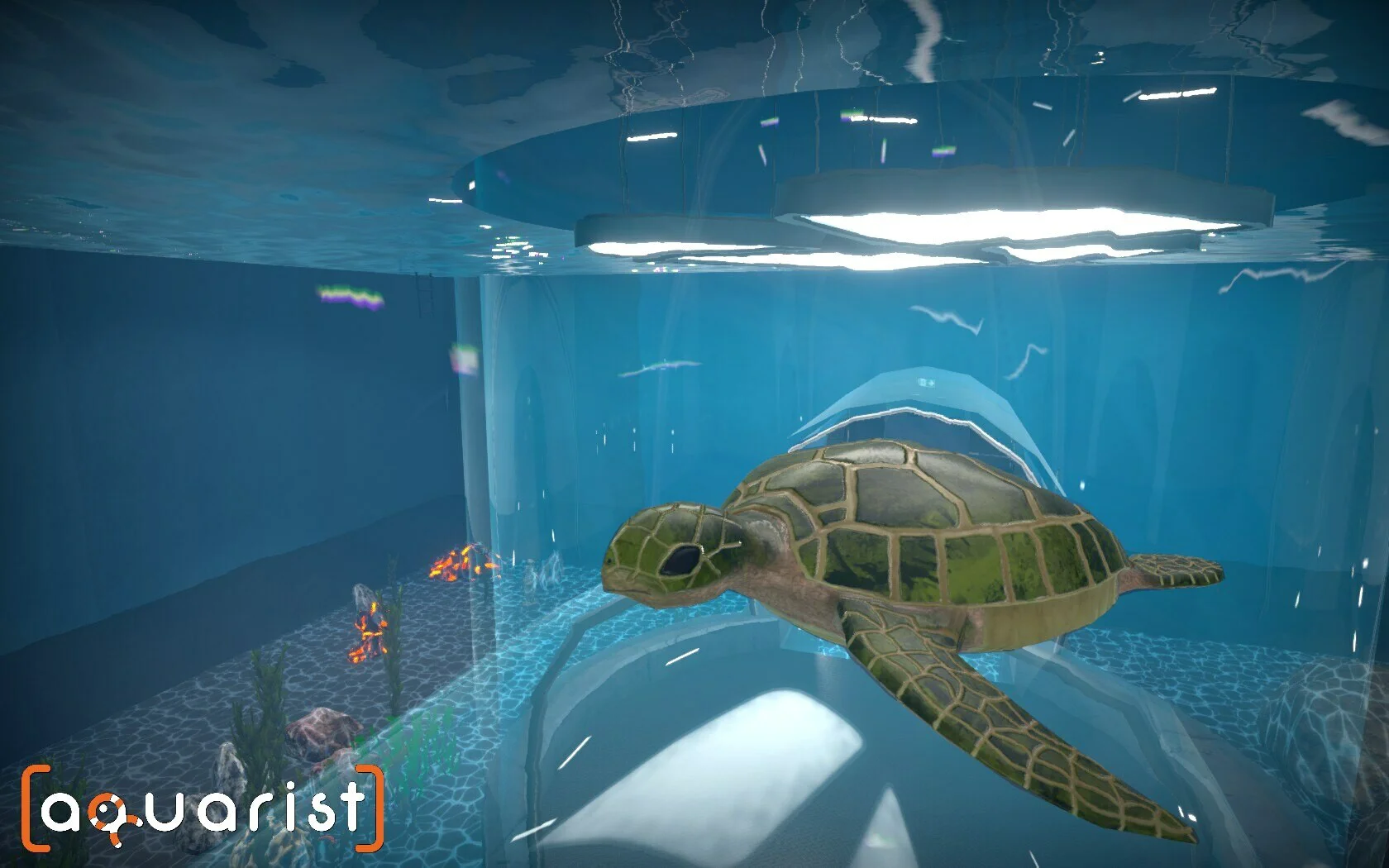 Aquarist screenshot 14