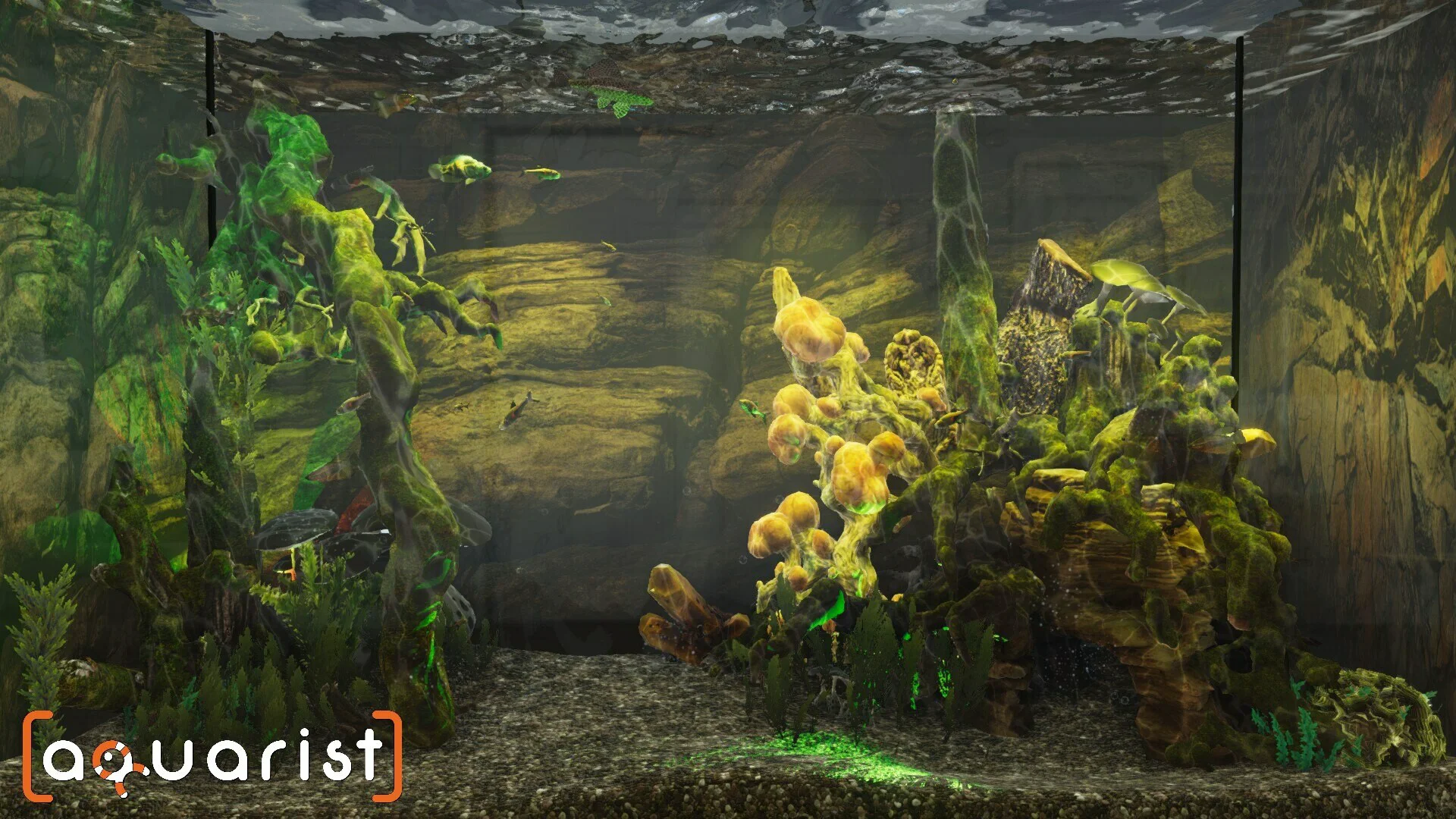 Aquarist screenshot 9
