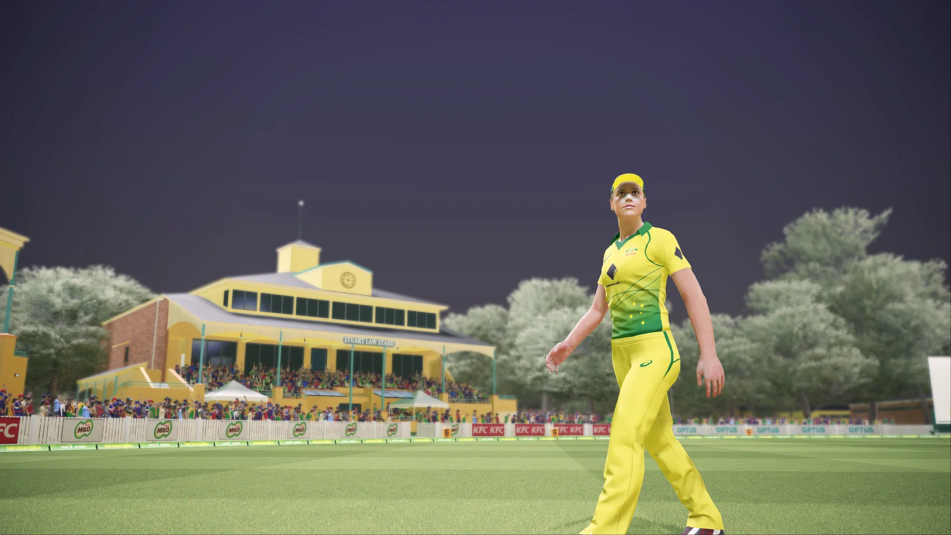 Ashes Cricket screenshot 3