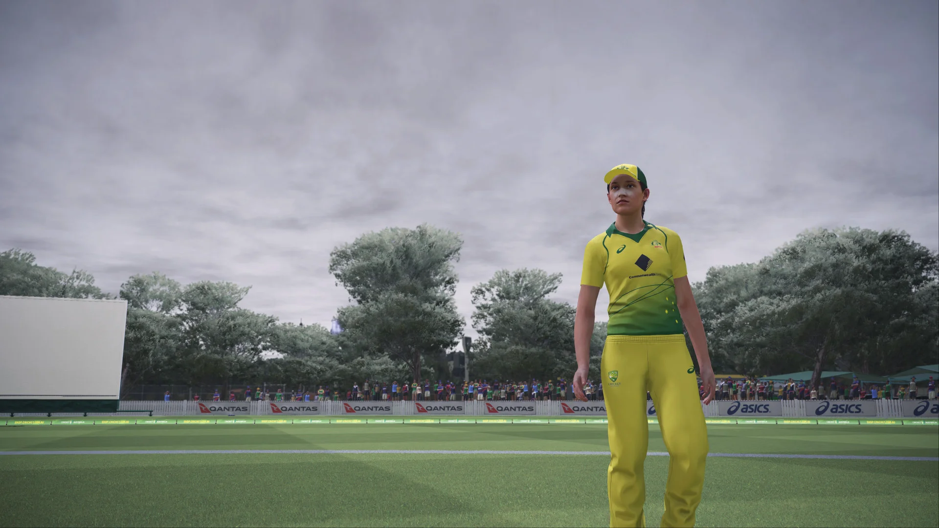 Ashes Cricket screenshot 4
