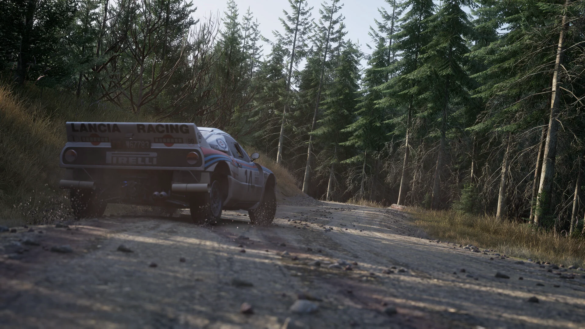 Assetto Corsa Rally screenshot 11