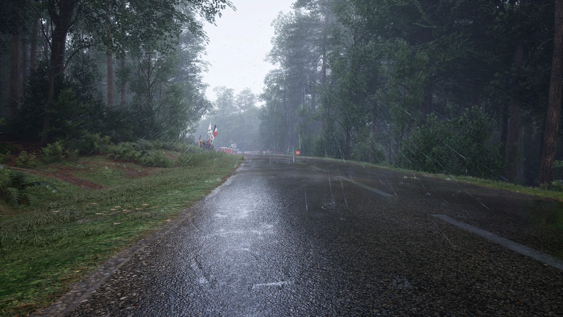 Assetto Corsa Rally screenshot 15