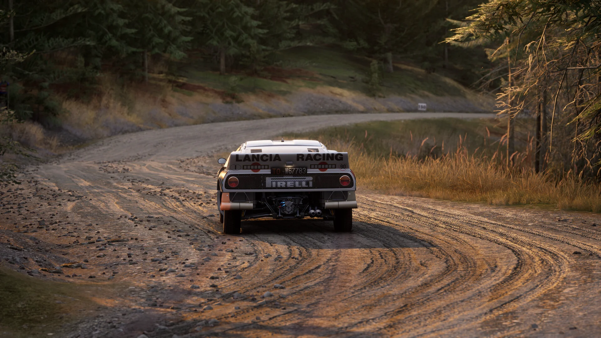 Assetto Corsa Rally screenshot 16