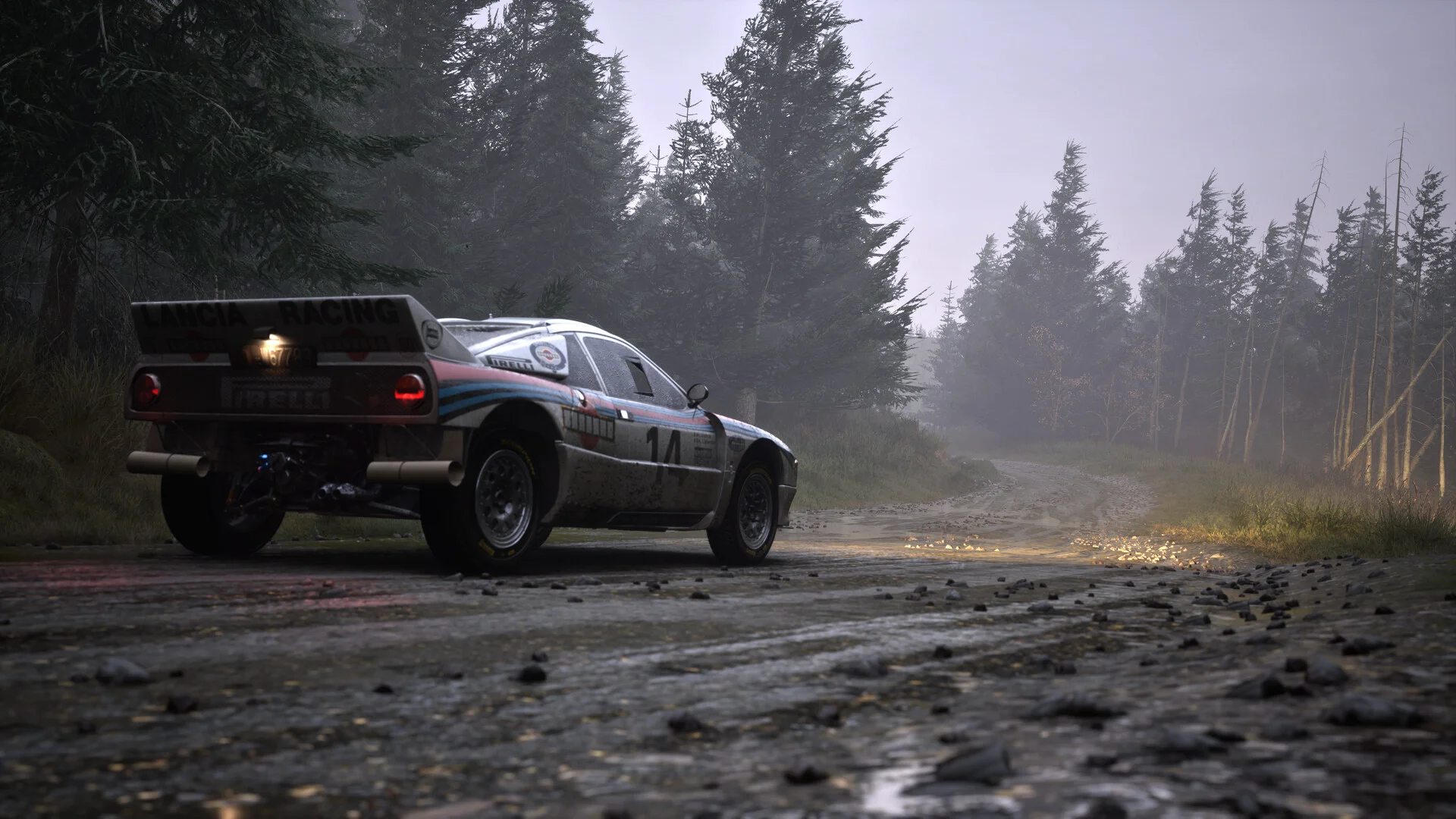 Assetto Corsa Rally screenshot 17