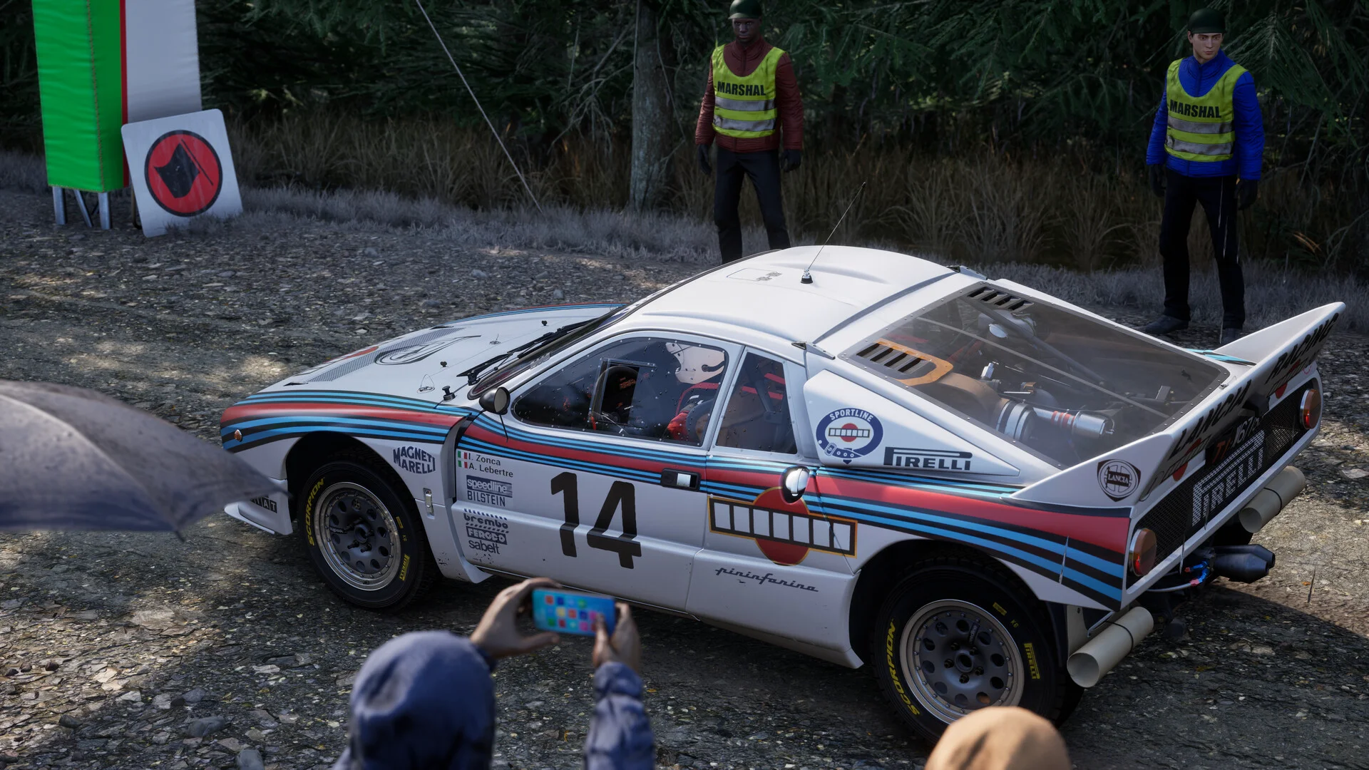 Assetto Corsa Rally screenshot 19