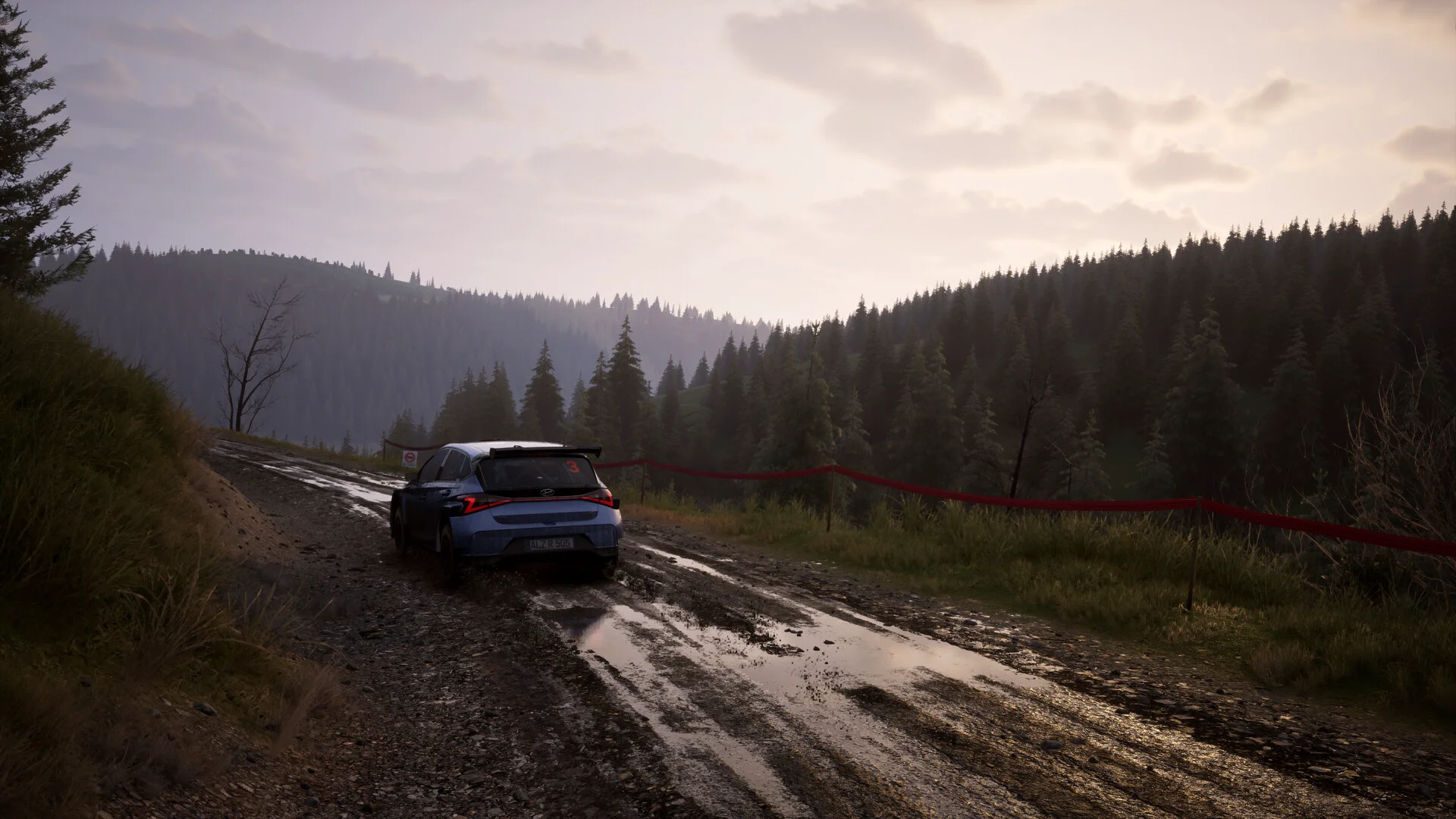 Assetto Corsa Rally screenshot 24