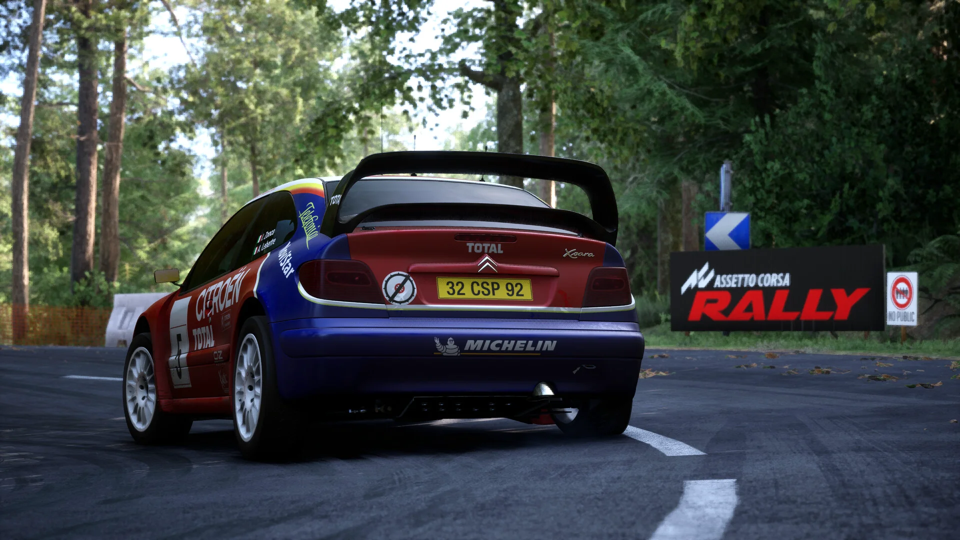 Assetto Corsa Rally screenshot 26