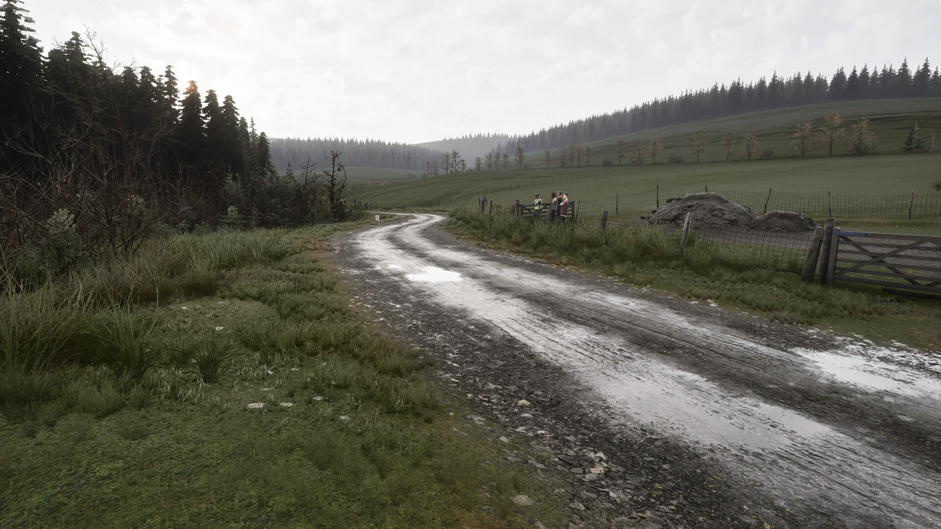 Assetto Corsa Rally screenshot 30