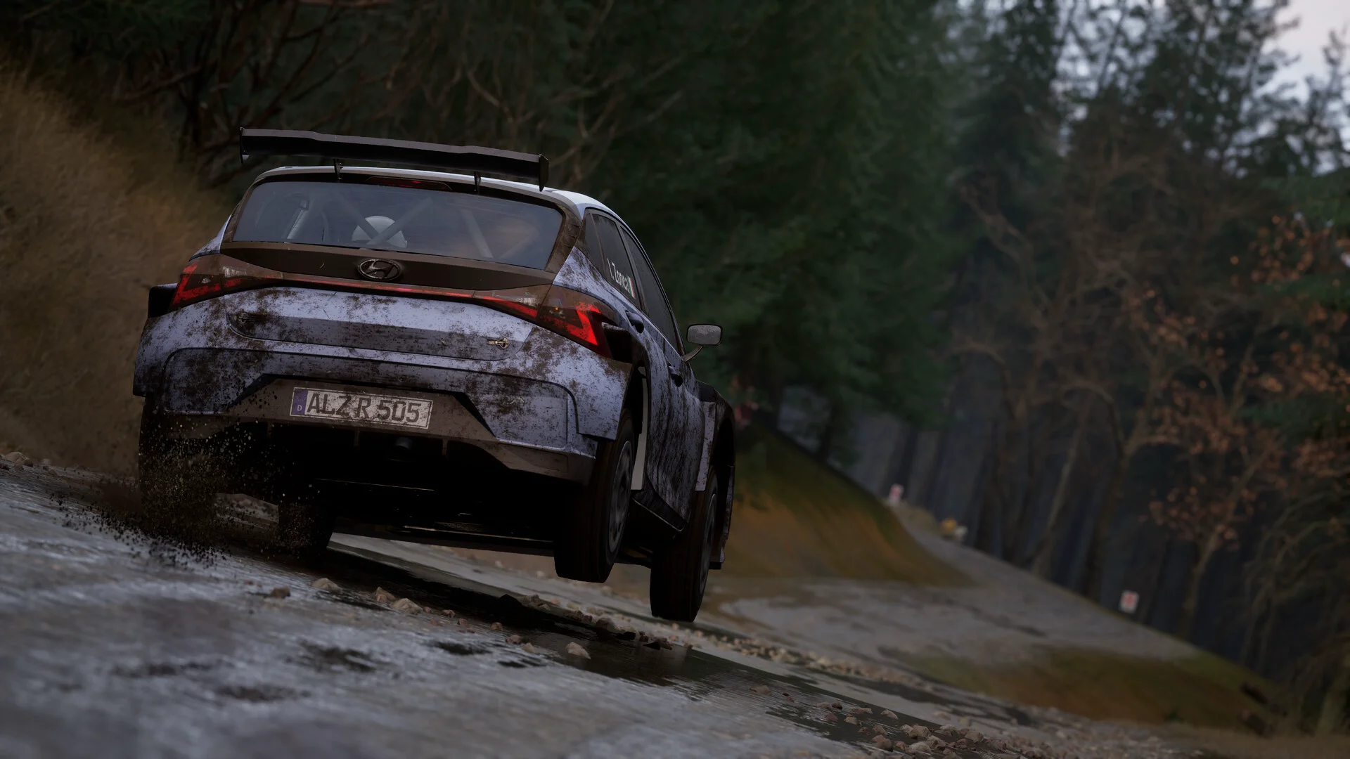 Assetto Corsa Rally screenshot 34
