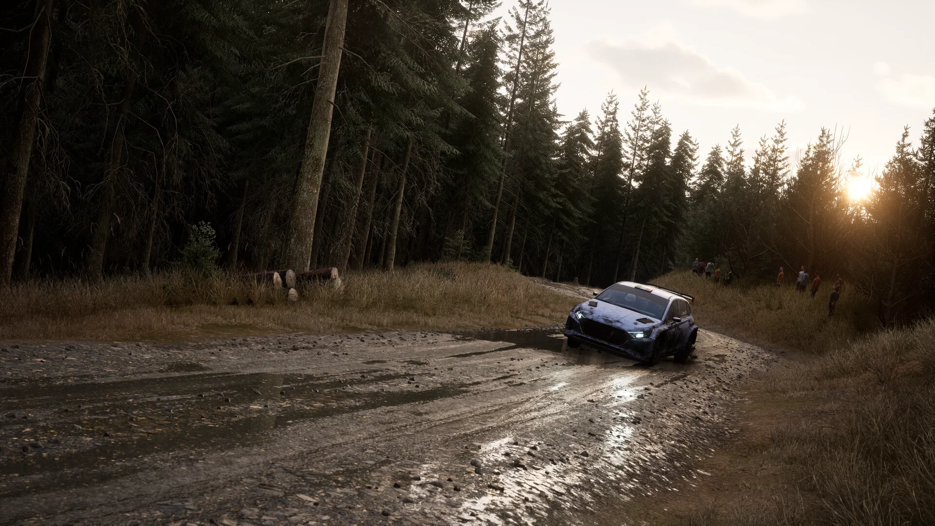 Assetto Corsa Rally screenshot 35