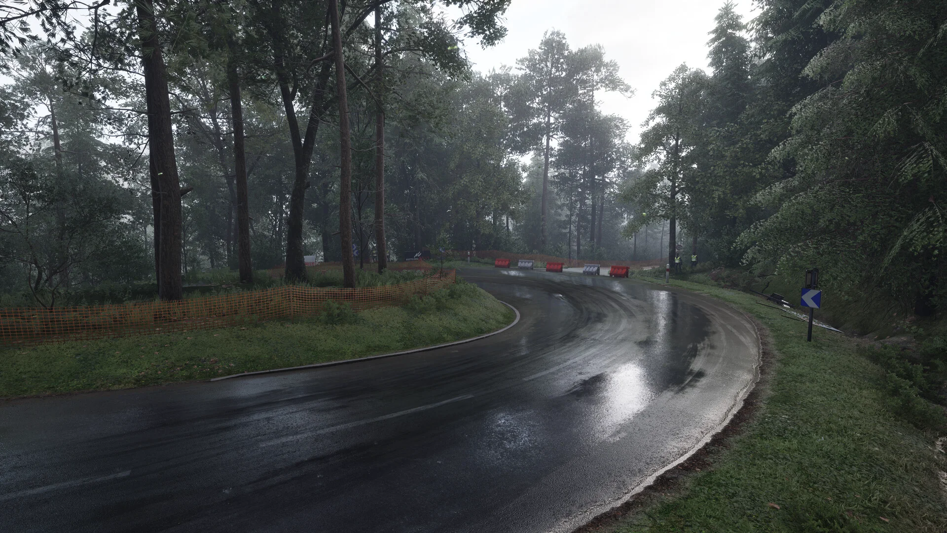 Assetto Corsa Rally screenshot 38