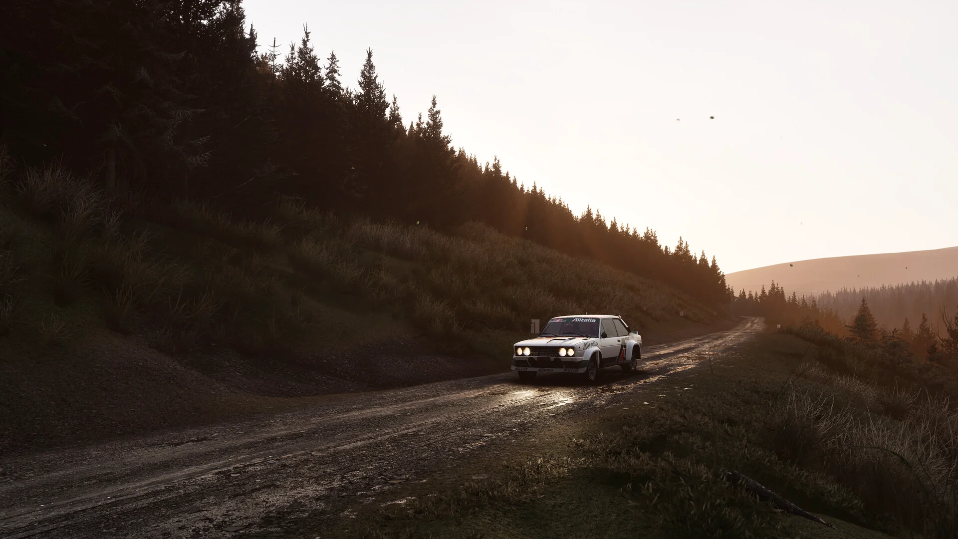 Assetto Corsa Rally screenshot 39