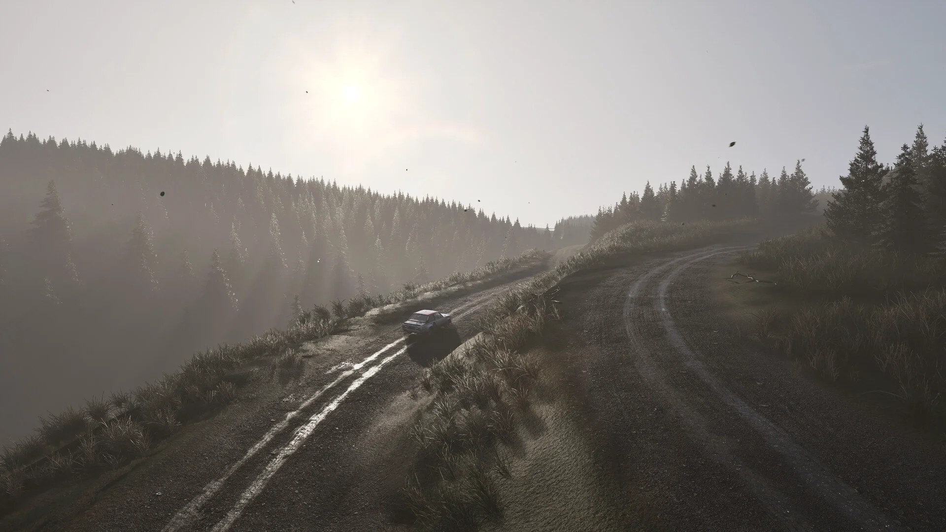 Assetto Corsa Rally screenshot 41