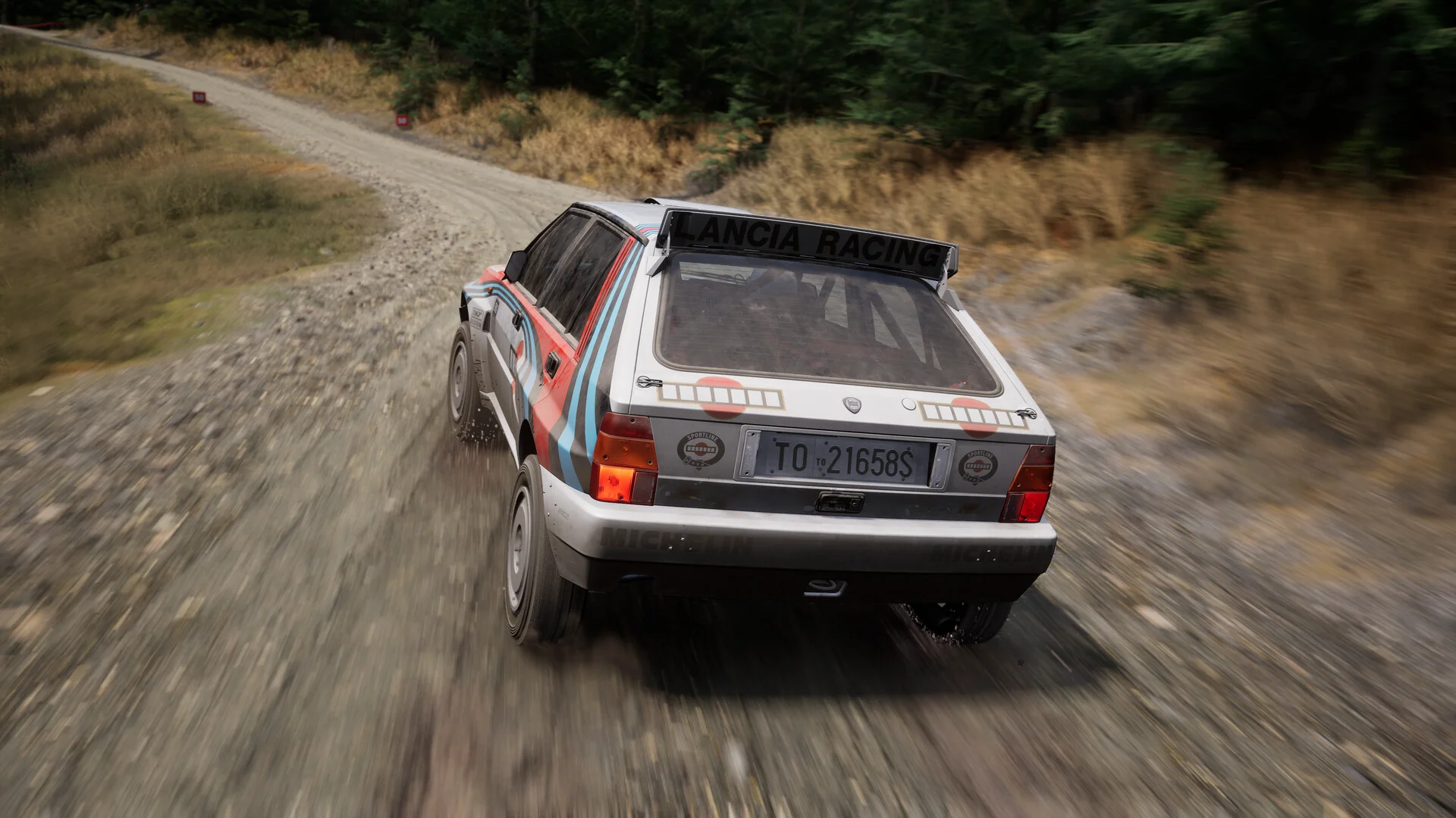 Assetto Corsa Rally screenshot 42